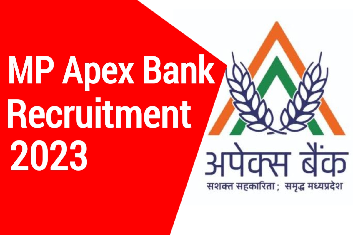 MP Apex Bank Recruitment 2023