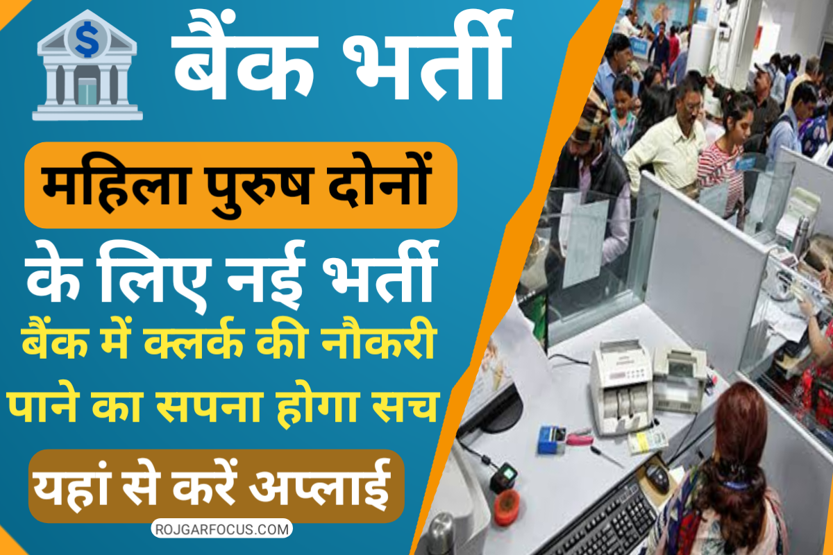 Bank Clerk Job Vacancy