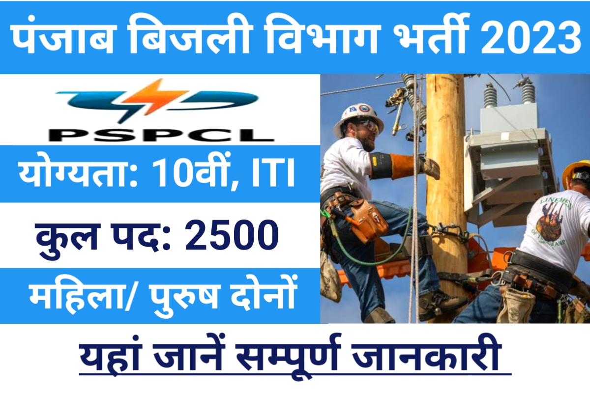PSPCL ALM Recruitment 2023